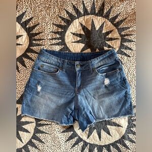 Time and Tru Distressed Denim Shorts